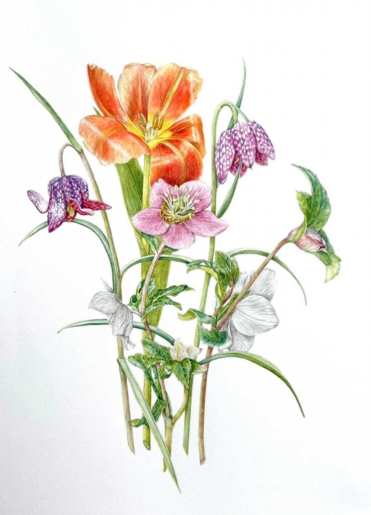 Voorjaarsbloemen-springflowers