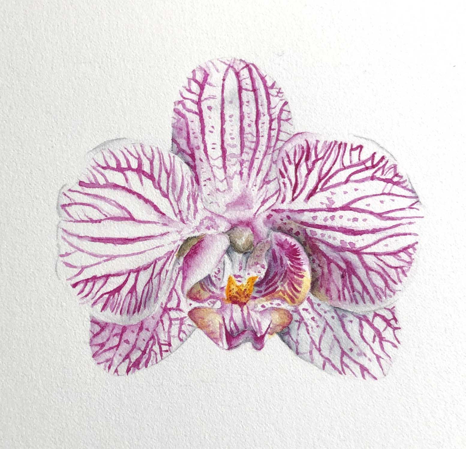 Nieuwe aquarel werken toegevoegd